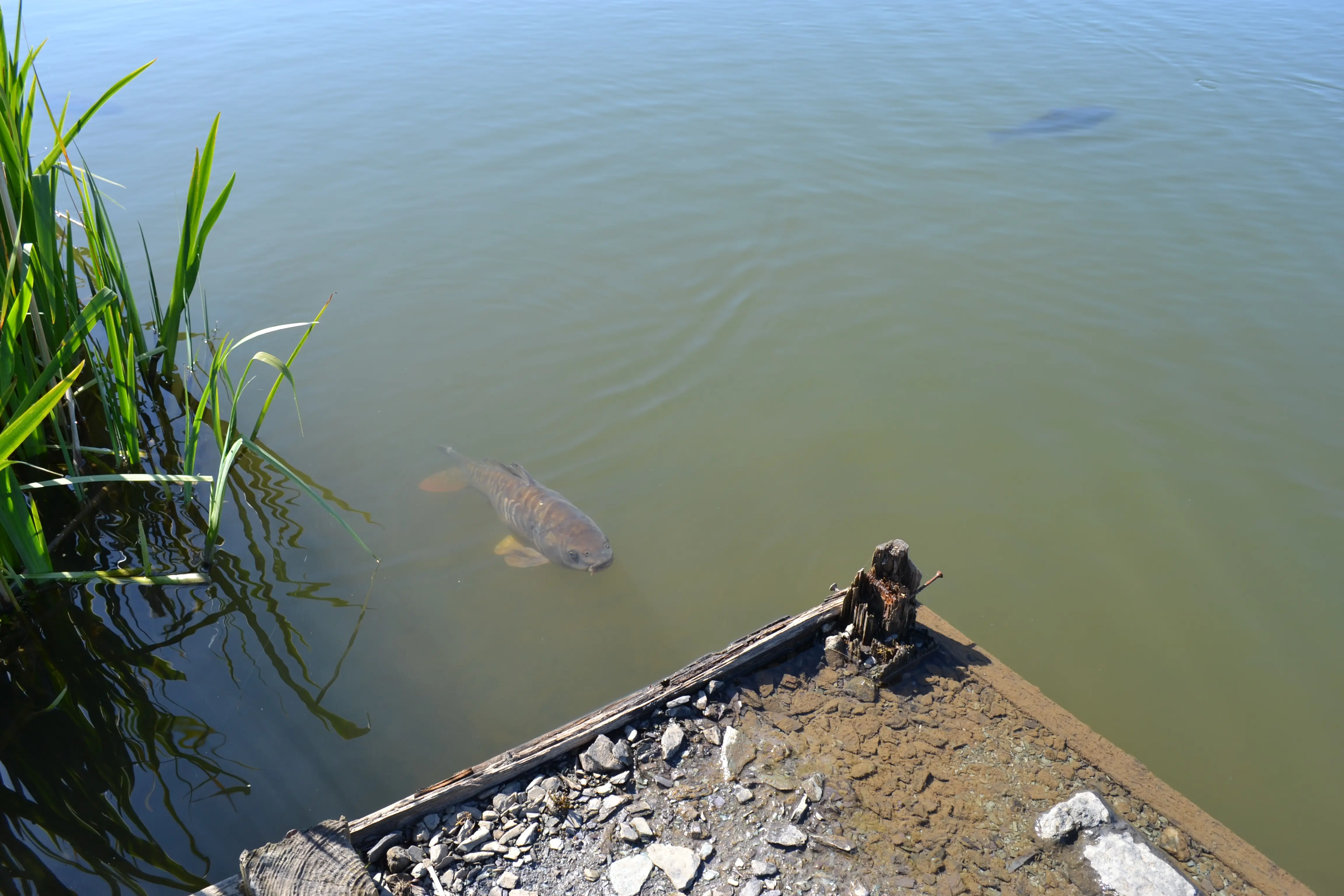 Fishing Lakes