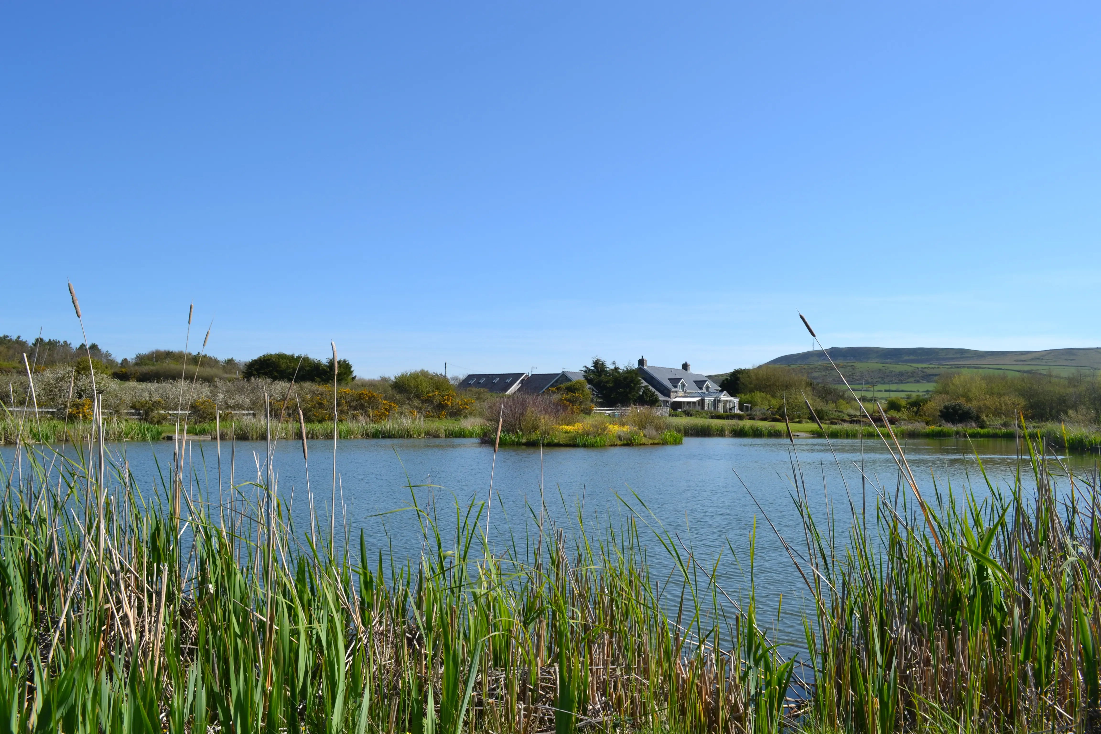 Fishing at Bodrydd Lakes