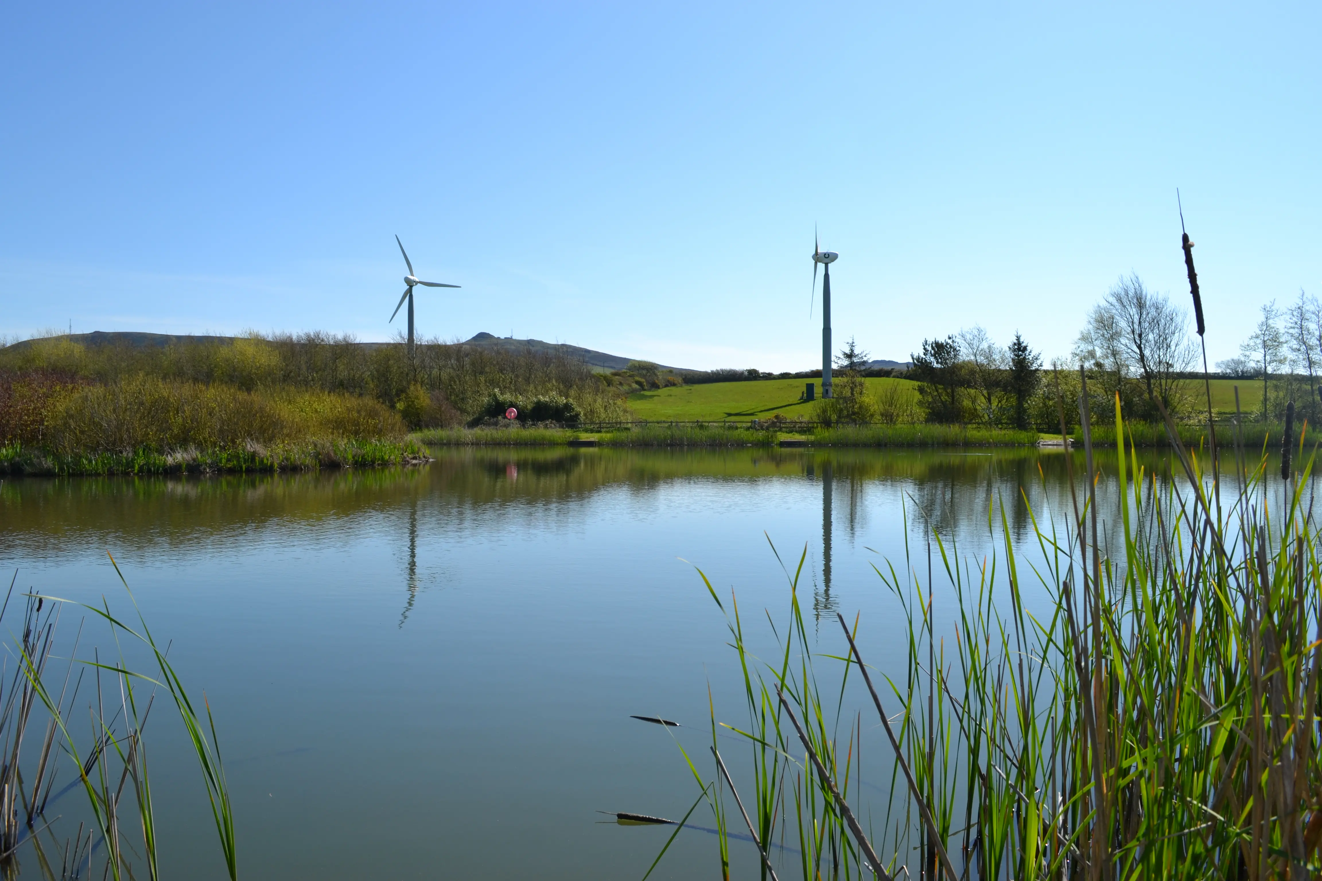 Fishing at Bodrydd Lakes