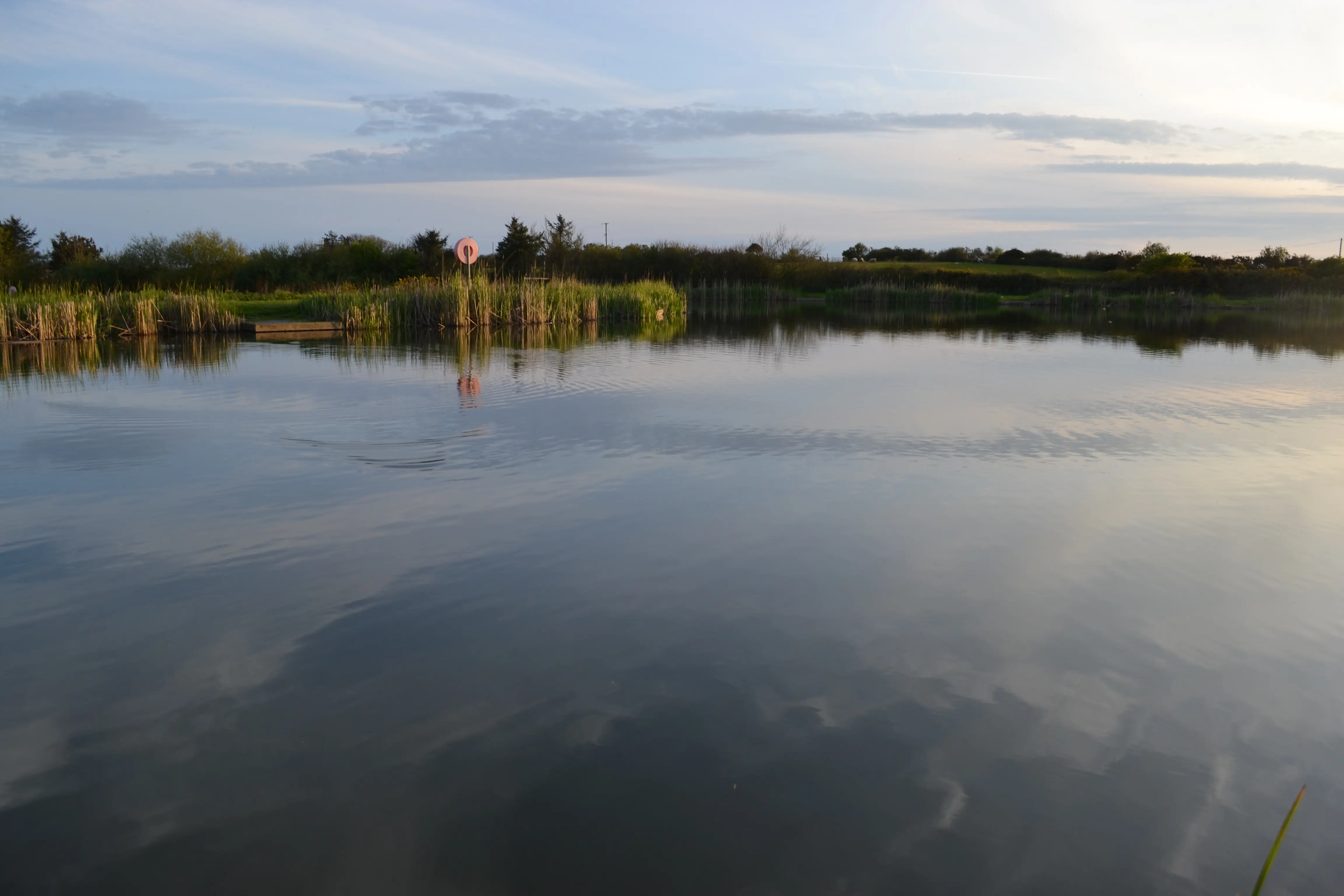 Fishing at Bodrydd Lakes